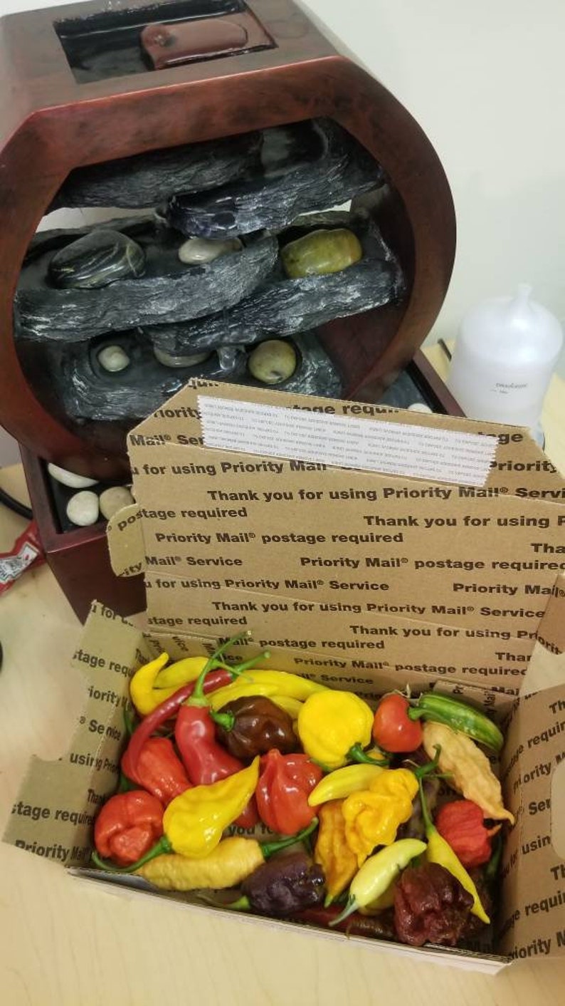 Fresh Hot Pepper Pod Boxes seasonalfree Shipping Etsy