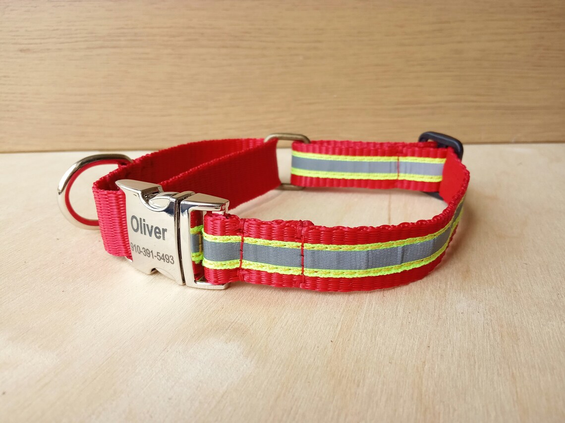 Personalized Reflective Martingale Dog Collar with Laser Etsy