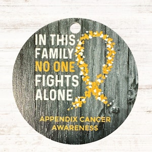 Appendix Cancer Awareness Christmas Ornament, In this Family, No One Fights Alone