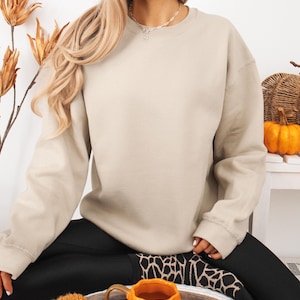 May include: A beige crewneck sweatshirt with long sleeves and a ribbed collar, cuffs, and hem. The garment features a solid, neutral color throughout, providing a simple and clean appearance with a relaxed fit and standard pullover construction.