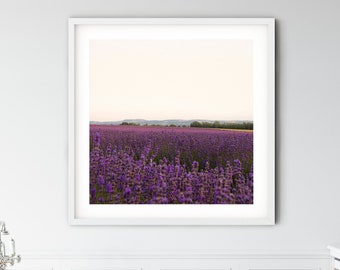 Lavender Field Print, French Flower Wall Art (Digital Download)