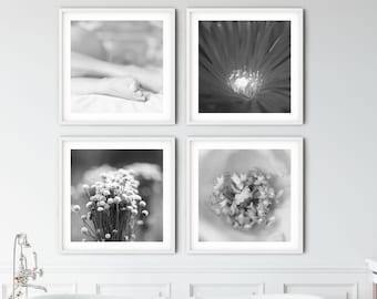 Botanical Art Prints, Set of 4, Black & White Floral Gallery (Digital Download)