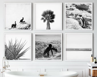 Puede incluir: Un interior de baño con una bañera blanca, un taburete de madera y un estante de mimbre blanco con una toalla azul. Seis fotografías enmarcadas en blanco y negro están colgadas en la pared sobre la bañera. Las fotografías muestran una palmera, un surfista, un pingüino, una planta y dos pájaros.
