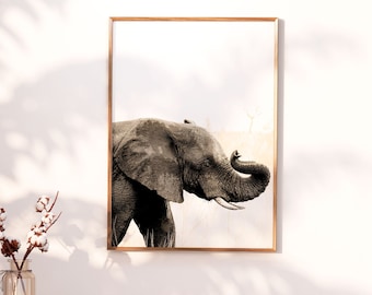May include: A black and white photograph of an elephant with its trunk raised in the air. The elephant is in a natural setting with trees and grass in the background. The photograph is framed in a simple wooden frame.