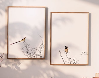 Bird photography prints. Set of 2 birds for bohemian style. Swallow print for living room, 2 Minimalist birds wall art. Small bird print