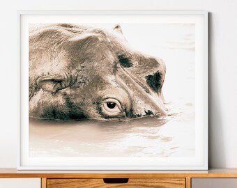 May include: A close-up photograph of a hippopotamus's eye peeking out of the water. The hippopotamus is submerged in the water, with only its eye and a small portion of its head visible. The image is in sepia tones, giving it a vintage feel.