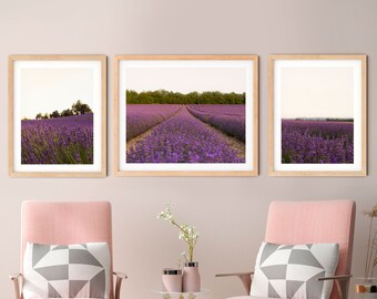 Provence Lavender Field Photo Print Set, Farmhouse Bathroom Decor (Digital Download)