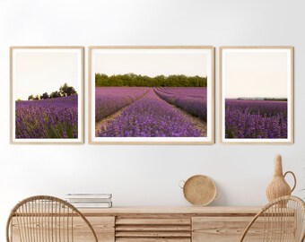 French Provence Lavender Field Print Set of 3 (Digital Download)