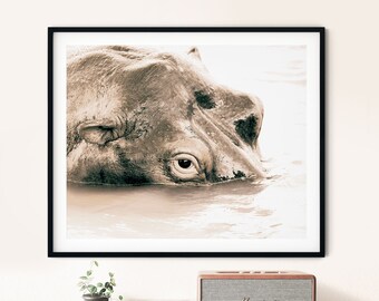 May include: A close-up photograph of a hippopotamus's eye, partially submerged in water. The image is in sepia tones, giving it a vintage feel.