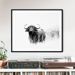 African buffalo photography, Cape buffalo print wall art, Wild animal print in black and white, Wild buffalo printable, African safari photo