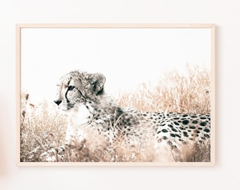 Cheetah Nursery Art Print, Big Cat Photography (Digital Download)
