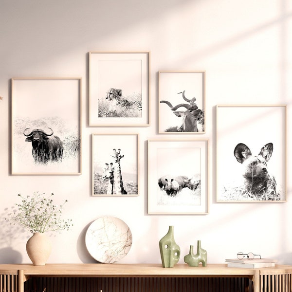 Black and White Wild Animal for Living Room Safari Wall Art Set of 6 Prints of Wild Animals Gallery Wall of Cheetah Print Rhino Photo Kudu