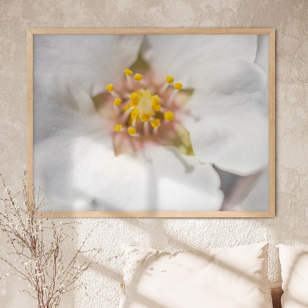 Macro Photography of Spring Flowers Photo Art, Almond Flower Photo, Floral Art Print, Large Flower Poster, Horizontal Flower Print