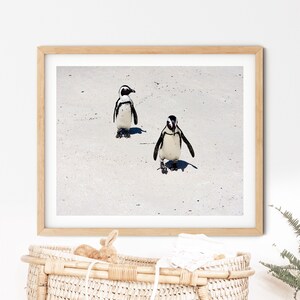 Penguin wall art for nursery decoration, Wild animal art prints, Nursery wall art, Penguin print art for gift, Kid room art digital download