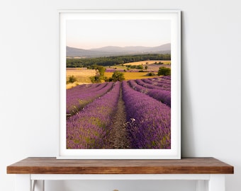 Fotografía impresa de un campo de lavanda en la Provenza, paisaje francés (descarga digital)