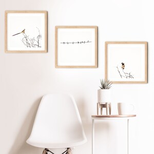 May include: Three framed art prints featuring bird illustrations. The prints have light wood frames and are displayed against a white wall. One print shows a bird with a long tail, another shows birds on a line, and the third shows a bird on a branch.