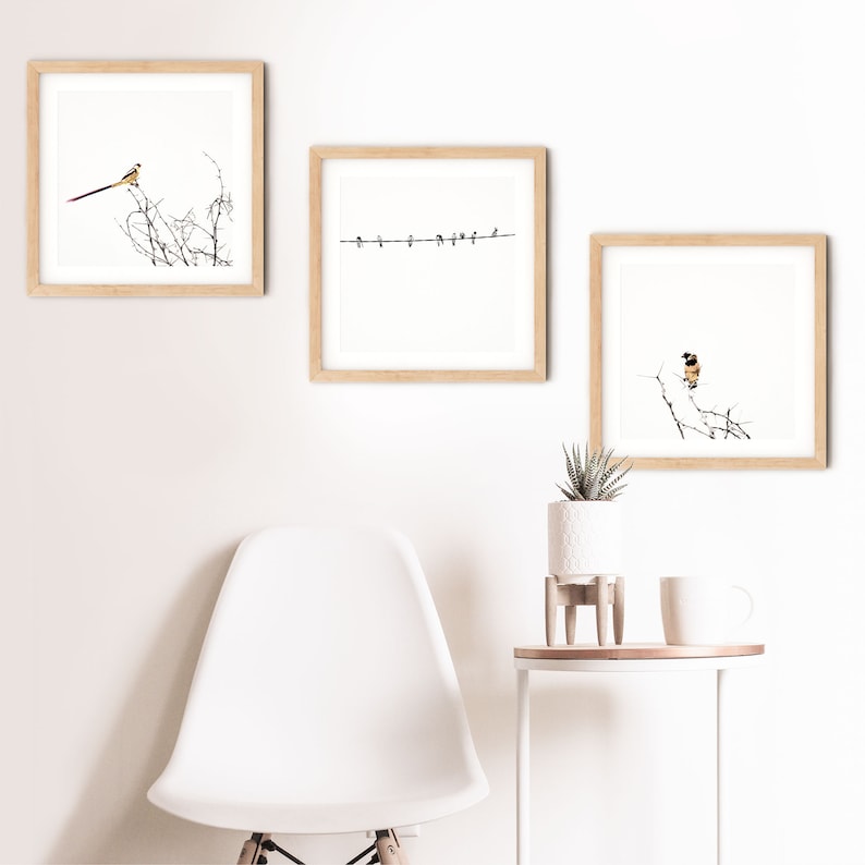 May include: Three framed art prints featuring bird illustrations. The prints have light wood frames and are displayed against a white wall. One print shows a bird with a long tail, another shows birds on a line, and the third shows a bird on a branch.
