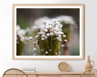 Wildflower Bouquet Photo Print, Exotic Floral Wall Art (Digital Download)