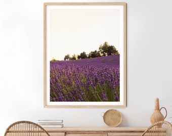 French Provence Lavender Field Photo, Farmhouse Wall Art (Digital Download)