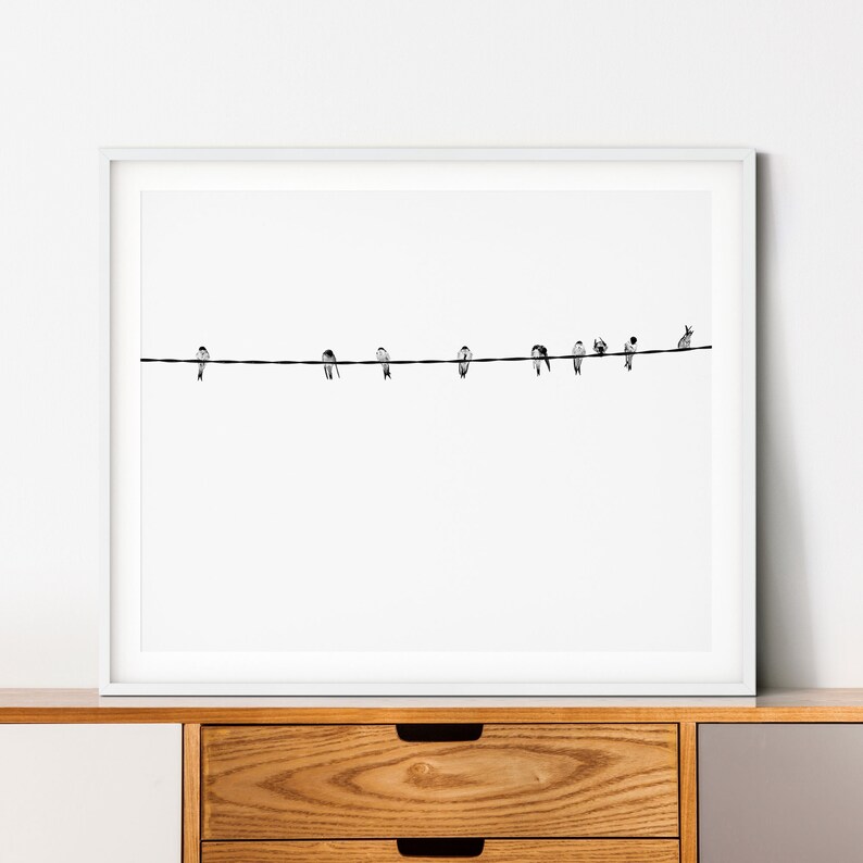 May include: A framed black and white print featuring a minimalist design. A thin black wire stretches across the frame, with several small birds perched along it. The background is a stark white, creating a clean and modern aesthetic.