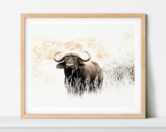 African Buffalo Art Print, Sepia Wildlife Photography (Digital Download)