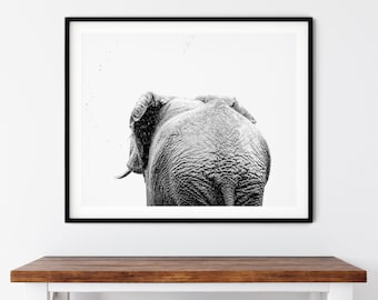 May include: Black and white photograph of an elephant's rear end walking away from the camera.