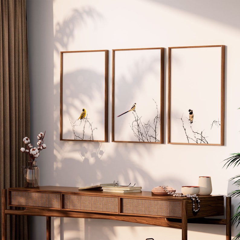 May include: Three framed prints with a white background and a single bird on each print. The birds are perched on branches. The first bird is yellow, the second is brown and white, and the third is a light blue with a long tail. The prints are hanging on a white wall above a wooden table.