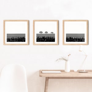 Minimalist landscape photo for new house gift. Tree triptych wall art in black and white. Set of 3 nature prints