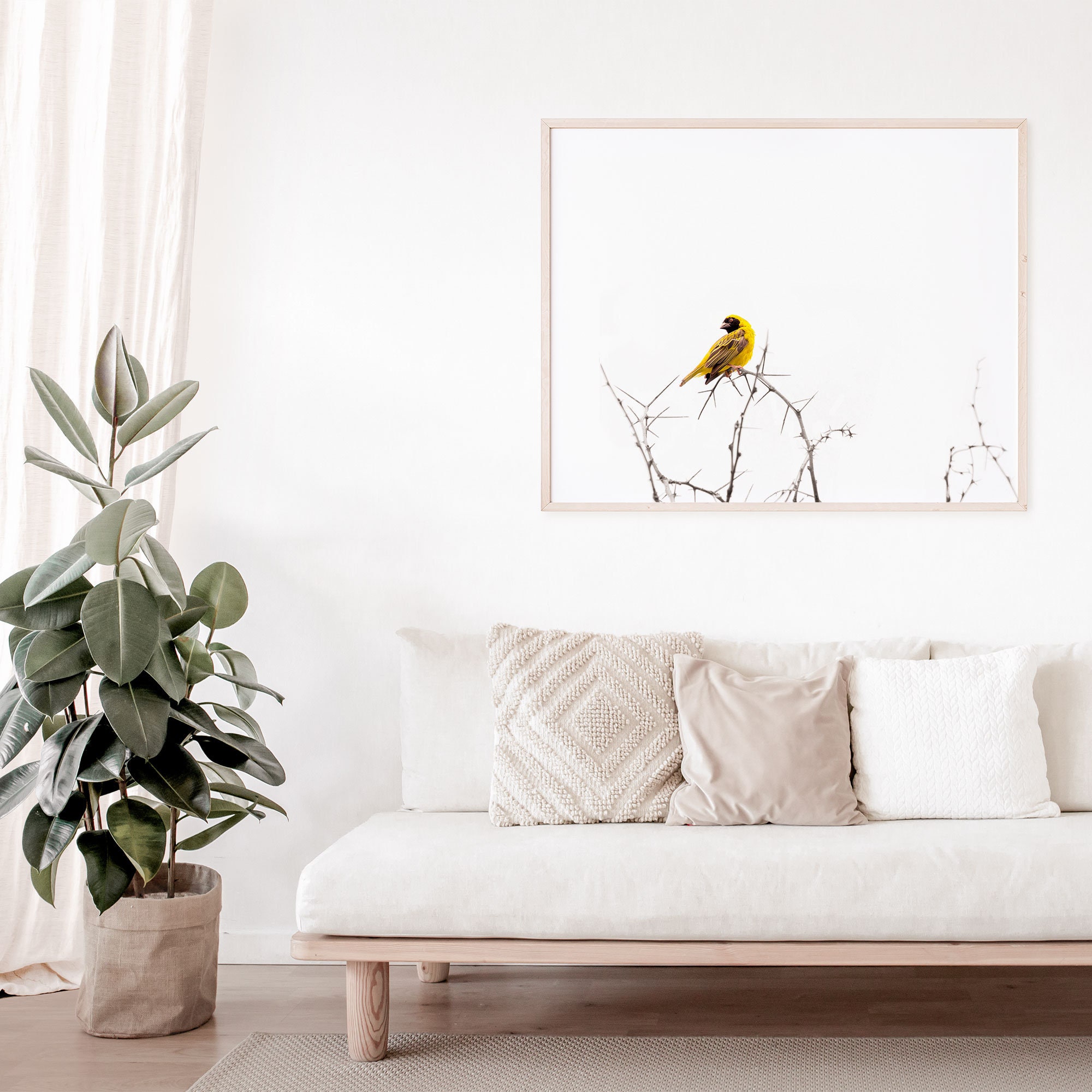 Bird Photography Print for Minimalist Living Room, Perched Small Bird ...