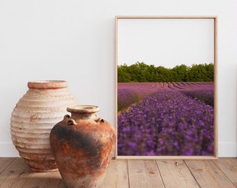 Provence Lavender Field Photography Print, Romantic Home Decor (Digital Download)