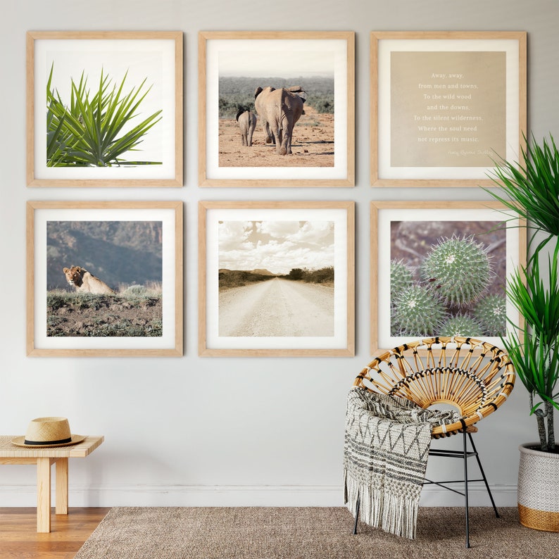 African Wall Art, Gallery Wall Set of 6, South African Gifts, Lion