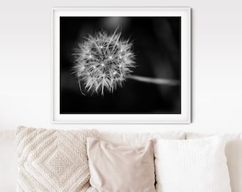 May include: A black and white photograph of a dandelion seed head with a blurred background.