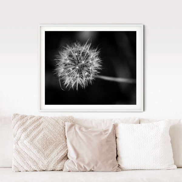 Dandelion photo art, Black and white dandelion wall art, Minimal floral photo for office