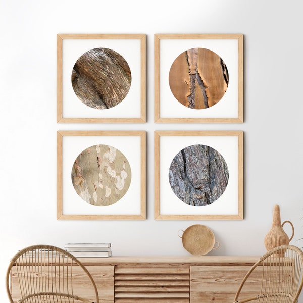 Nature textures photo art, Set of 4 tree ring prints, Round abstract print, Texture printable home wall decor, Tree photo wall art for yoga