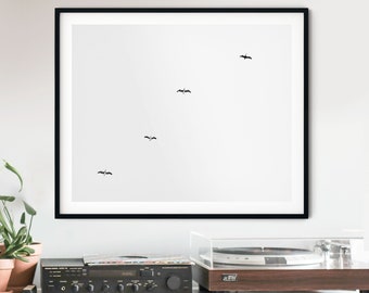 Pelican Flock Print, Black and White Bird Photography (Digital Download)
