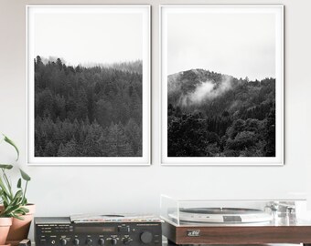 May include: Two black and white framed photographs of a forest with fog. The photo on the left shows a dense forest with fog in the distance. The photo on the right shows a forest with a hill in the background and fog in the foreground.