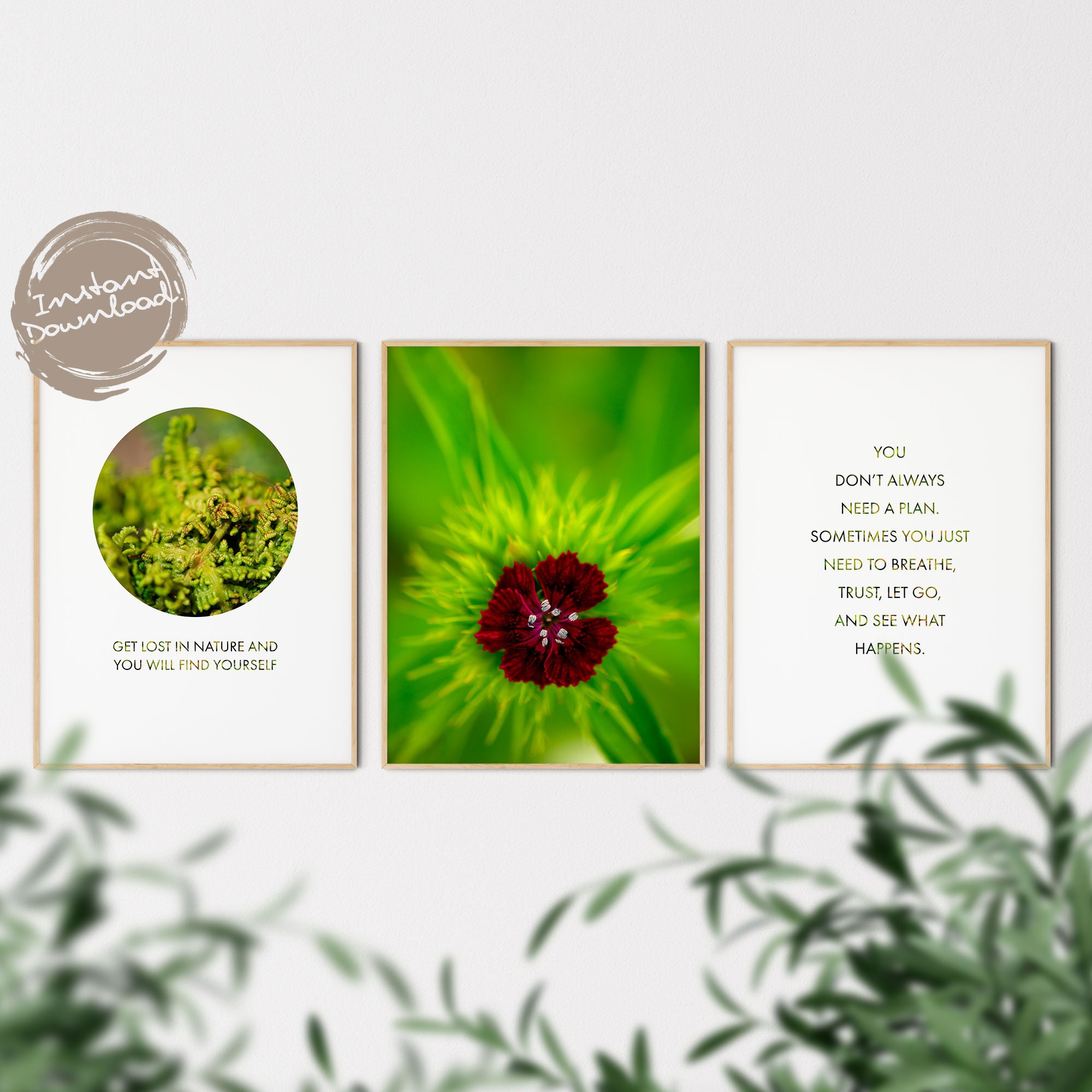 Prints Set Of 3 Plants And Quotes, Inspirational Quotes.