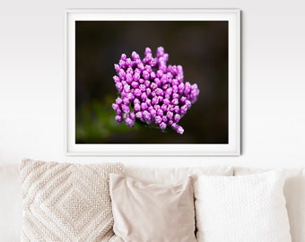 Fuchsiabloesem fotoprint, boho bloemenkunst aan de muur (digitale download)
