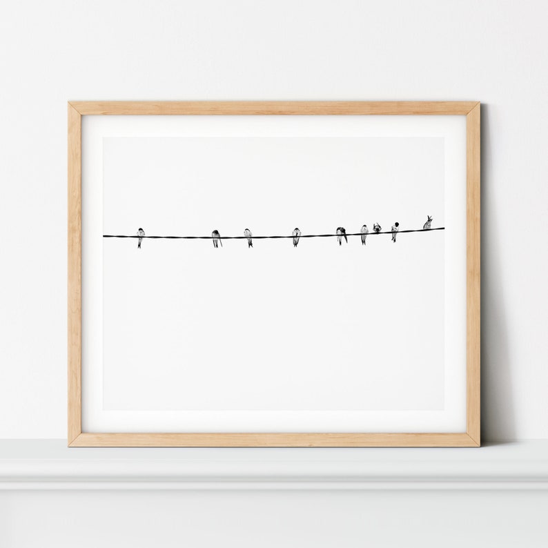 May include: A framed print featuring a minimalist black and white image of birds perched on a wire. The birds are small and silhouetted against a bright white background. A rabbit is also perched on the wire. The frame is a light wood color.
