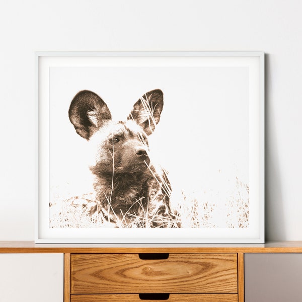 African wild dog art print, African painted dog photo for wildlife lovers, Endangered animal wall art, Wildlife photography digital download