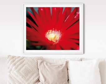 Exotic Red Flower Photo Print, Boho Home Decor (Digital Download)