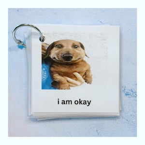 Communicatiekaarten met Silly Dog-thema (AAC, non-verbale hulp, autisme/neurodivergent)