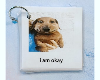 Silly Dog Themed Communication Cards (AAC, Nonverbal Aid, Autism/Neurodivergent)