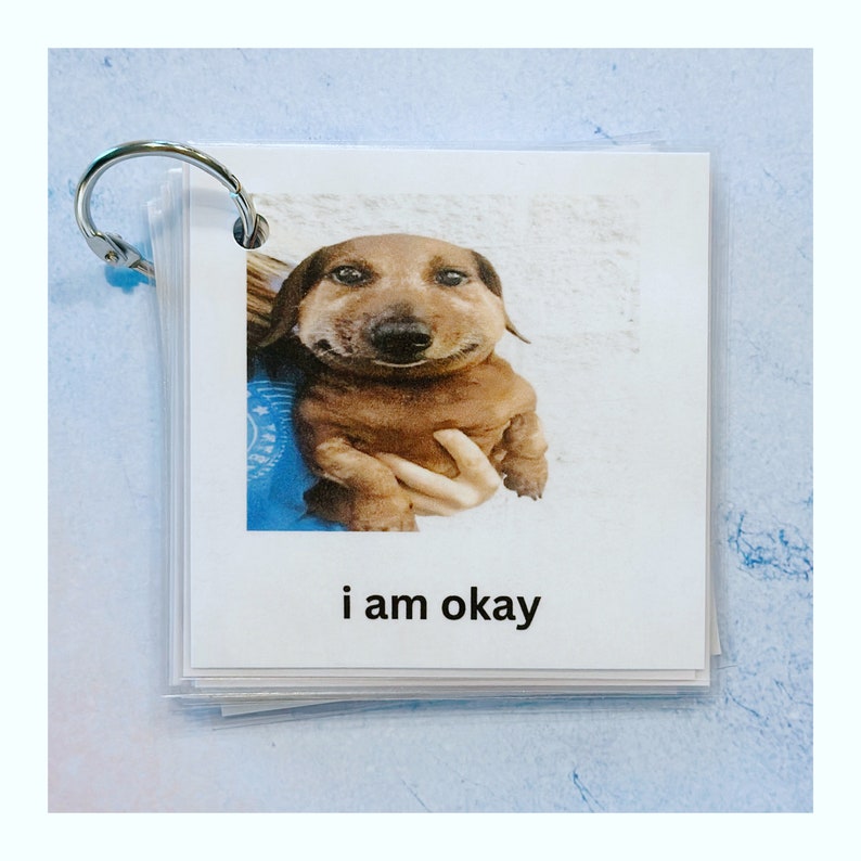 May include: A stack of white cards held together by a silver ring. Each card features a photo of a brown dachshund dog with a smiling expression. The text "i am okay" is printed on the bottom of each card.