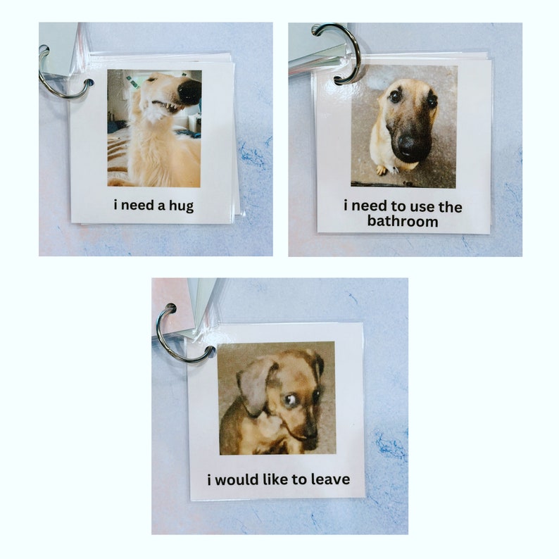 May include: A set of three cards with dog photos and text. The first card shows a golden dog with the text "i need a hug". The second card shows a dog with the text "i need to use the bathroom". The third card shows a dog with the text "i would like to leave".