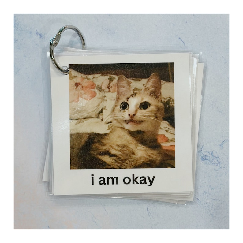 May include: A stack of white cards held together by a silver ring. Each card has a photo of a cat with its tongue out. The text "i am okay" is printed in black at the bottom of the card.