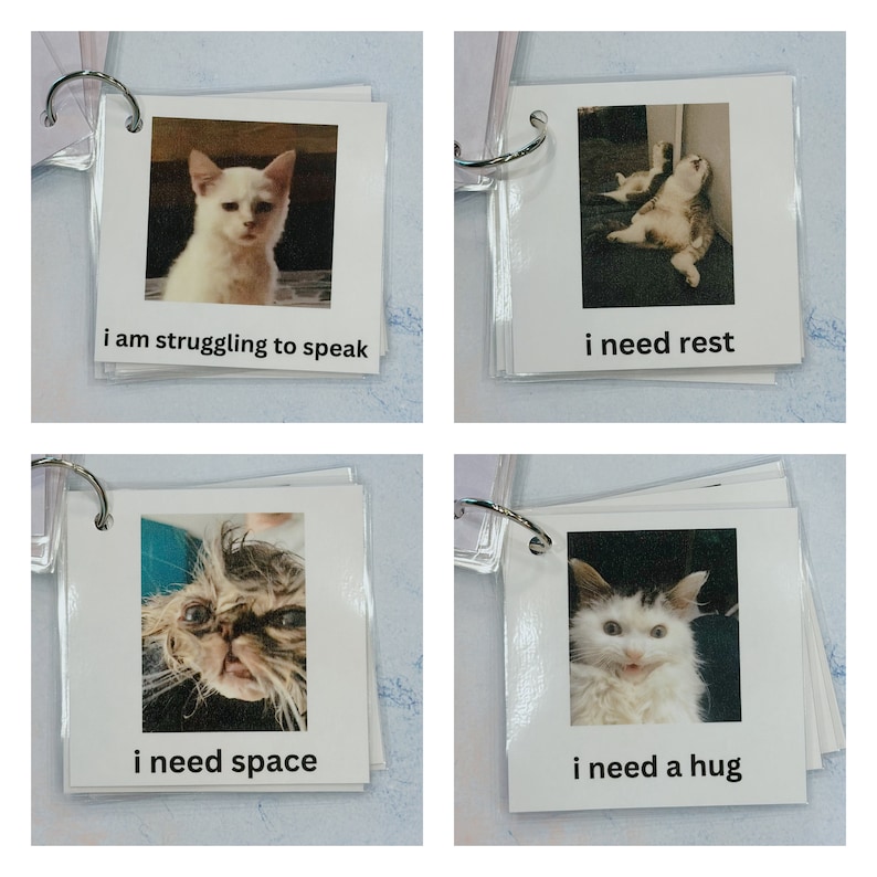 May include: A set of four square cards with images of cats, each with a different expression. The cards are bound together with a metal ring. Each card has a caption: "i am struggling to speak", "i need rest", "i need space", and "i need a hug".
