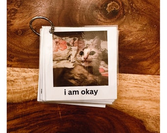 Silly Cat Themed Communication Cards (AAC, Nonverbal Aid, Autism/Neurodivergent)