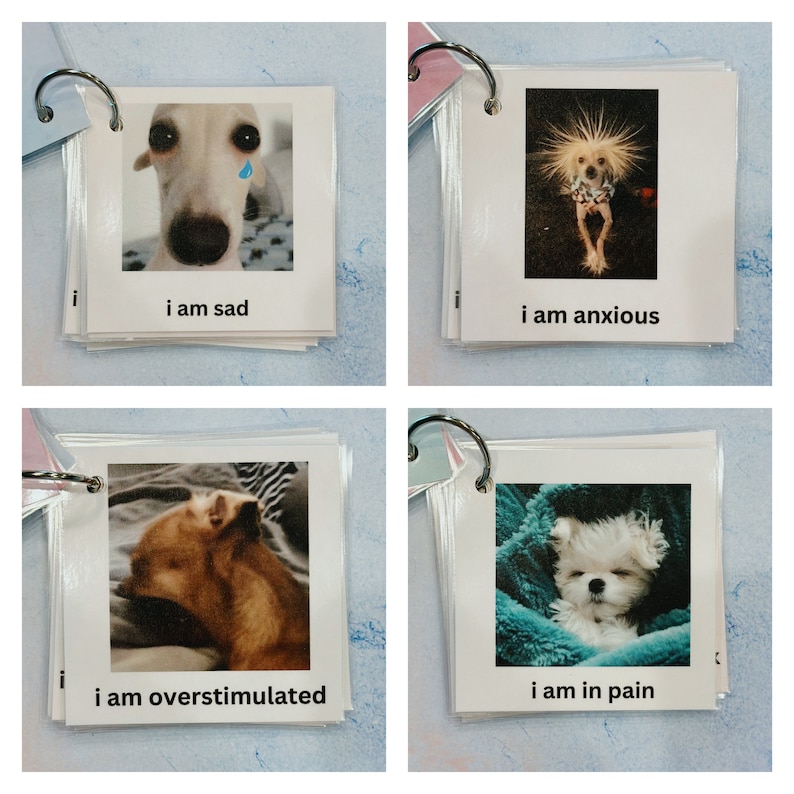 May include: A set of flashcards with images of dogs and text. The cards are bound by a metal ring. The images include a sad dog with a tear, a dog with spiky hair, a dog looking sleepy, and a dog wrapped in a blanket. The text on the cards reads: "I am sad", "I am anxious", "I am overstimulated", and "I am in pain".