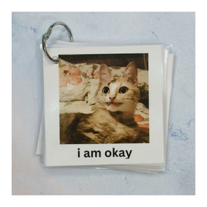 Tarjetas de comunicación con temática de gatos divertidos (CAA, ayuda no verbal, autismo/neurodivergente)